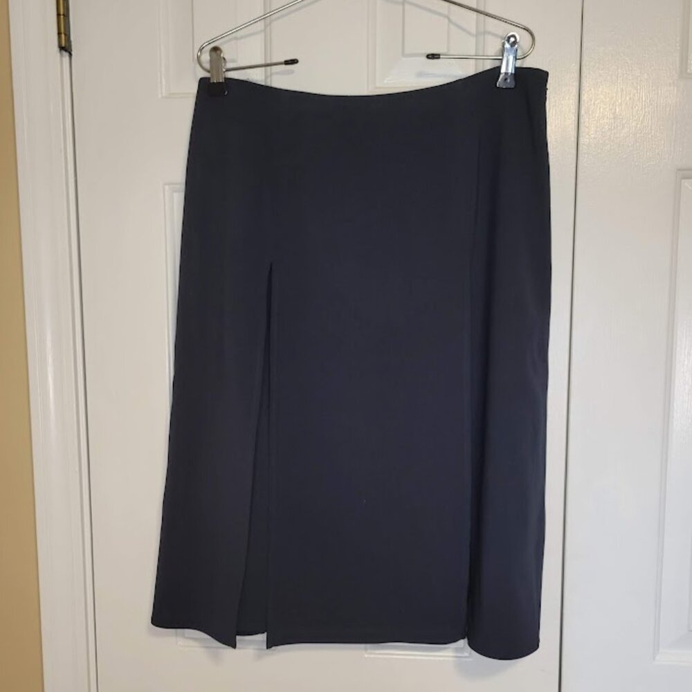Dana Buchman Vintage Blue Pleated Midi Skirt – Size 10